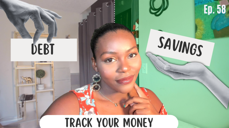 How to Track the Money You Are Putting in Saving and Towards Debt Credit 101 Ep